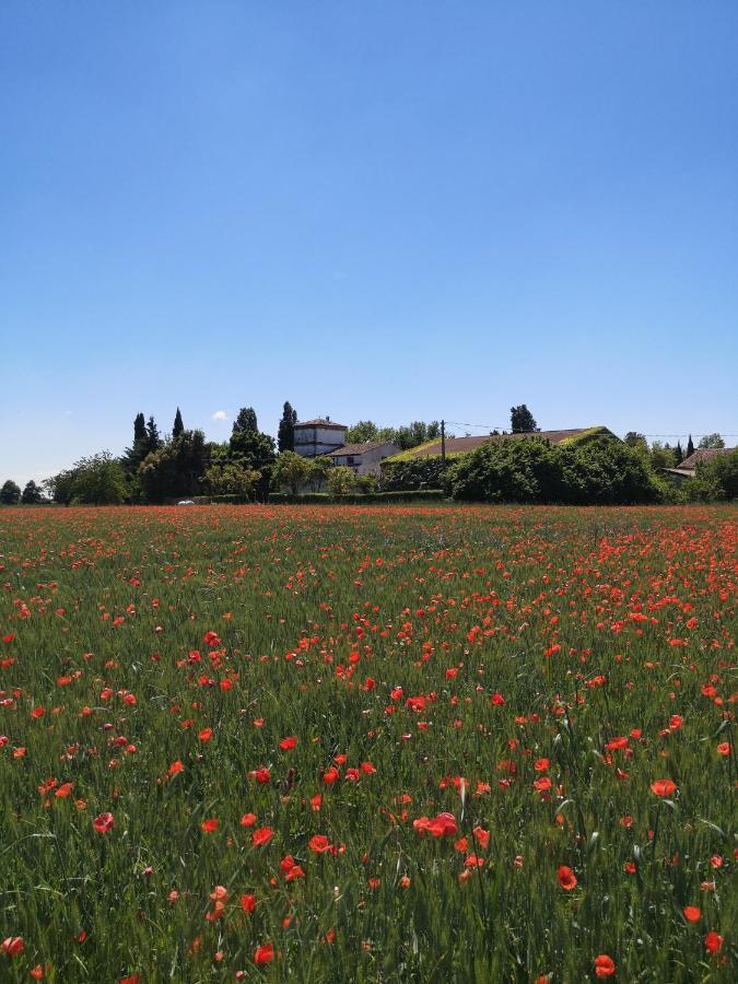Agriturismo Corte Spino Nogarole Rocca Exterior foto