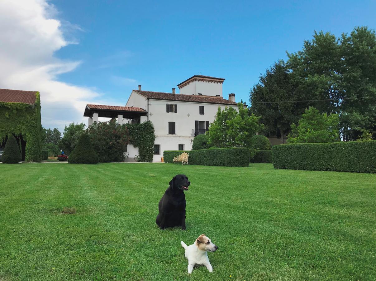 Agriturismo Corte Spino Nogarole Rocca Exterior foto